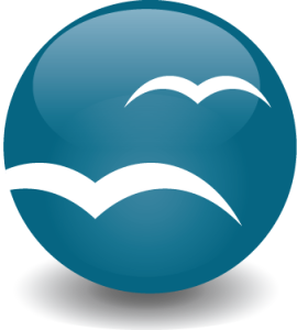 openoffice-logo-270x300.png